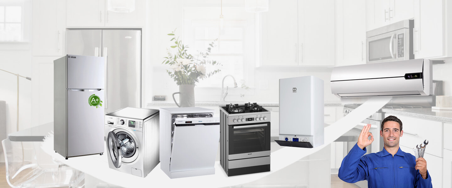Ahlat Gorenje Servisi